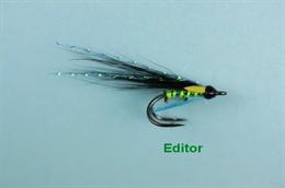 Editor BMD